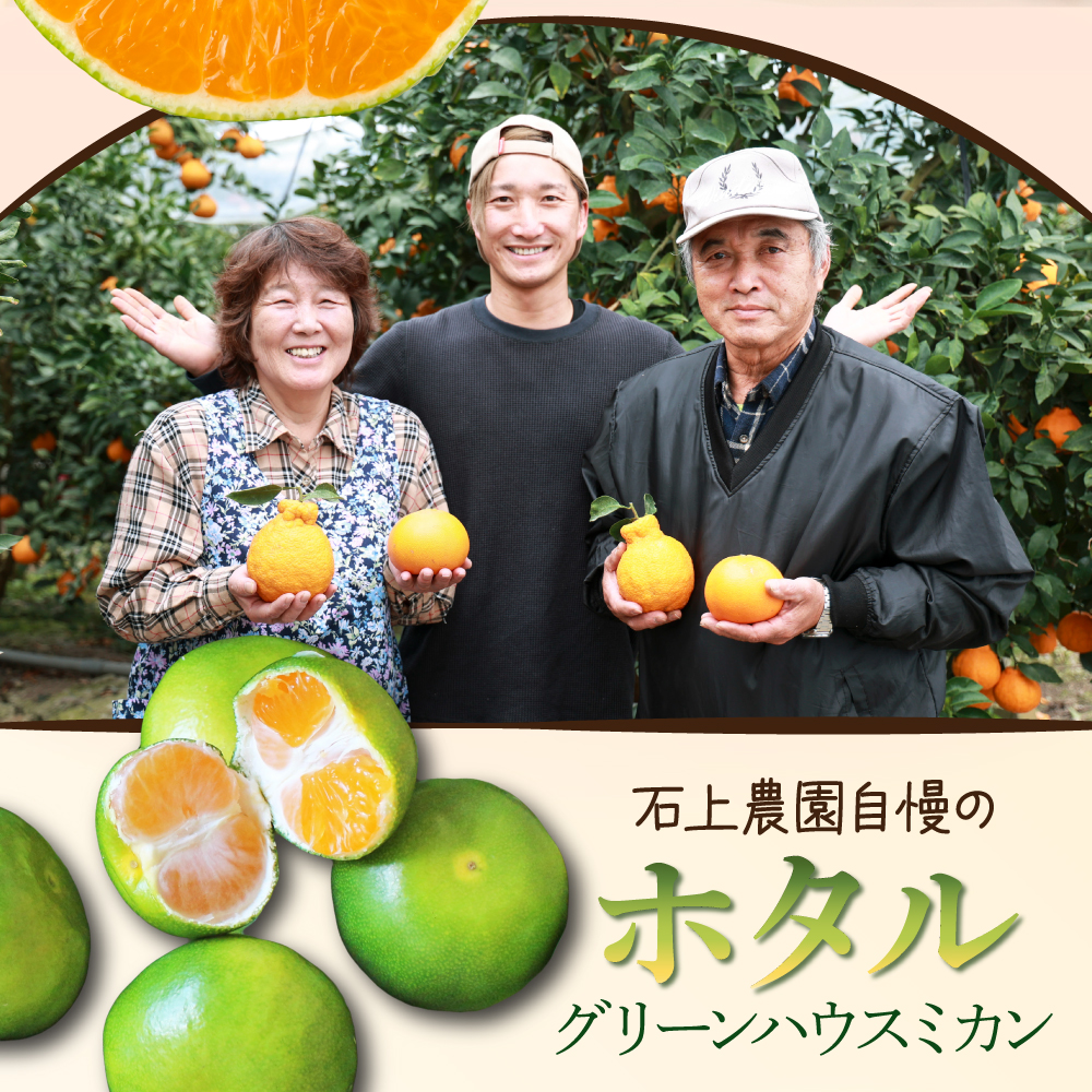 AF-A1 串間市都井「石上農園」自慢のホタル グリーンハウスミカン 5kg（約60個）【石上農園】