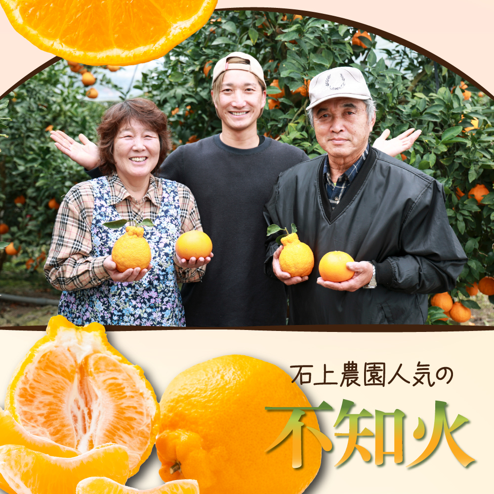 AF-A3 【先行予約】訳あり 串間市都井「石上農園」の不知火4kg(12～15玉)【石上農園】