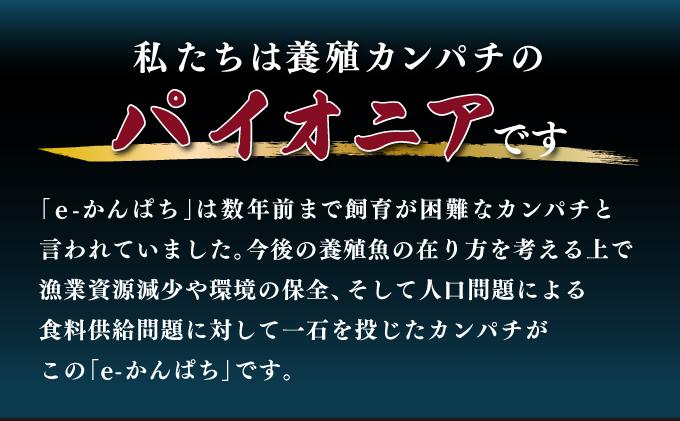 AG-CD1【先行予約】東京オリンピック供給資格「AEL(養殖エコラベル)」認証取得のカンパチ！活き〆プレミアムフィッシュ「e-かんぱち」丸ごと1尾(ラウンド・3.0kg～3.8kg)【マルエイ水産】