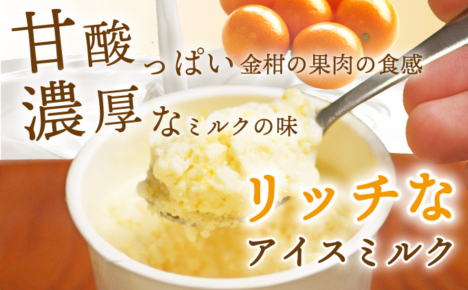 AQ-A1 串間市産きんかんたまたま使用！たまリッチアイス詰合せ（9個）【たまたまクラブ】