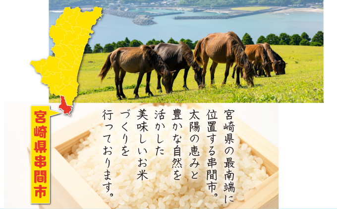 CD 米米クラブ 17枚セットコメディア SUNRICE,PUSHED RICE PUSHED RICE【完全生産限定盤】 | 米米CLUB | ソニーミュージック