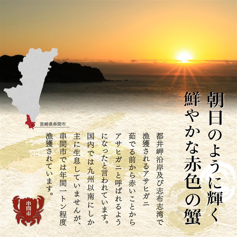 HRAGT-1 宮崎県串間産アサヒガニ 特大サイズ(計約1kg・2～3匹)【合同会社Houryoumaru】