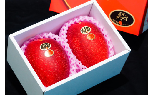 KU021 ＜先行予約・数量限定＞太陽のタマゴ・赤秀(1kg・2〜3玉) 【串間市大束農業協同組合】