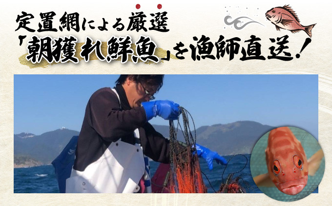 KU072 【先行予約受付中】宮崎県串間産 朝獲れ鮮魚セット計約5～6kg(6～7種)  定置網による厳選「朝獲れ鮮魚」を漁師直送！ 【合同会社Houryoumaru】