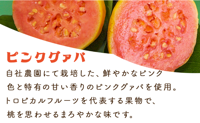 KU111 【定期便・全12回】まるで果実を食べているような！グァバドリンク２本セット(各720ml)×12回【宮崎果汁】