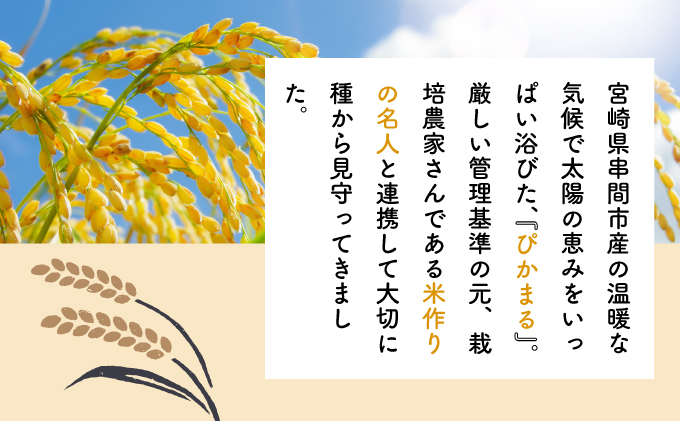 KU154_nR6 令和6年産「超早場米」 ぴかまる 計10kg（5kg×2）【中島米穀店】