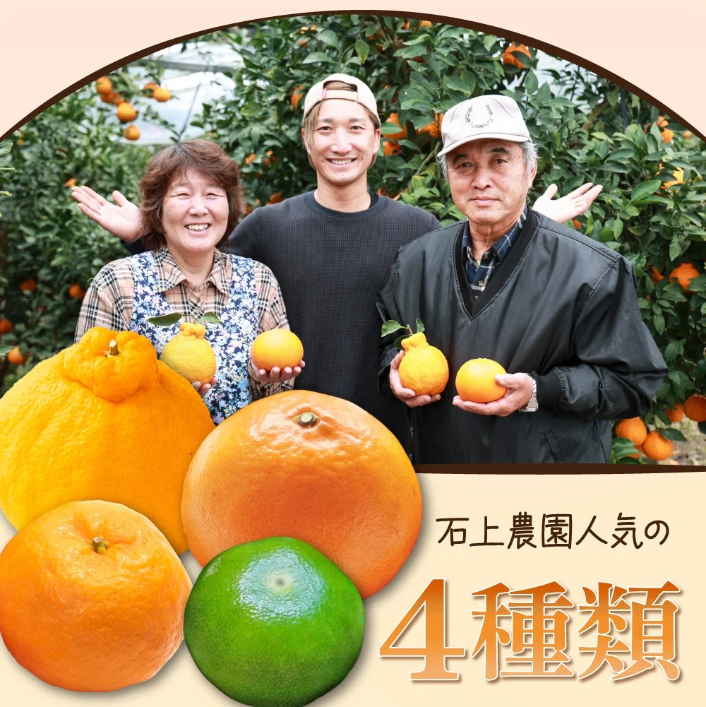 KU167 【先行予約】【定期便・全4回】石上農園から自慢の柑橘フルコース便　【石上農園】