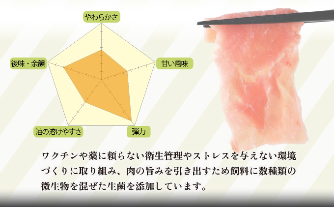 KU217 宮崎県産豚食べ比べセット1.2kg(バラ300g・ロース300g・こま切れ300g×2P)【スーパーほりぐち】