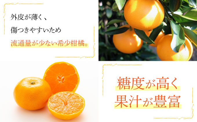 せとか6㎏(16～30玉・化粧箱)