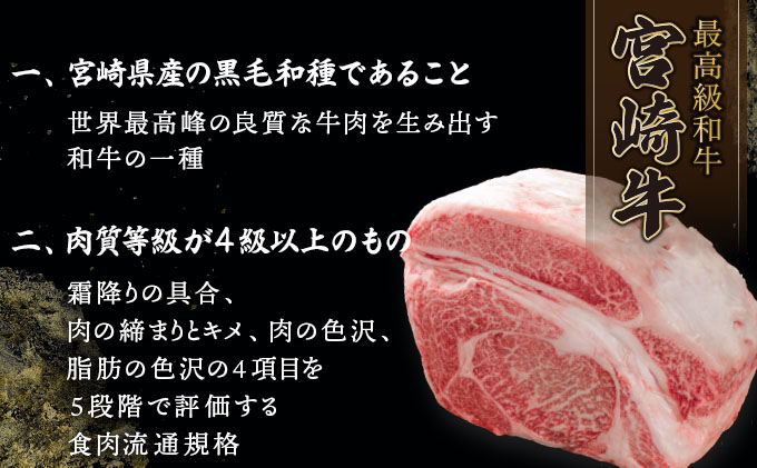 KU309-2 宮崎牛ロースステーキセット 計500g (250g×2)