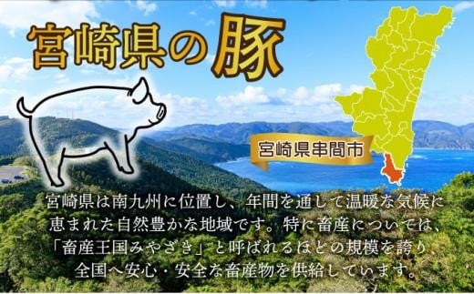 ＜2026年1月発送分＞宮崎県産豚バラエティー3.1kgセット