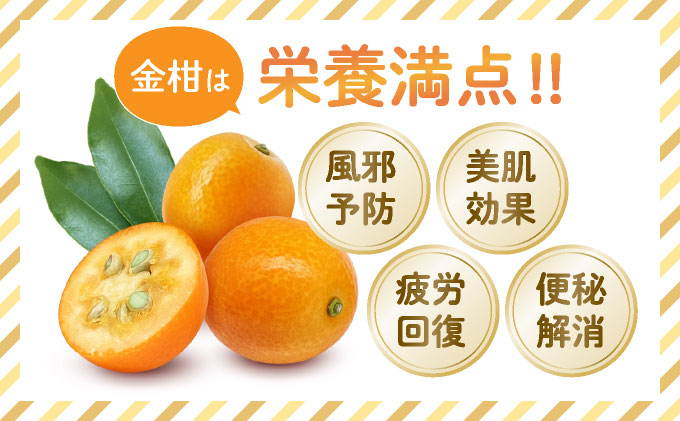 【先行予約】温室金柑 2・(250g×8パック)