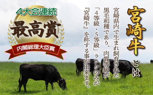 ＜2025年11月発送分＞宮崎県産 宮崎牛バラ焼肉用 250g×4パック 合計1kg