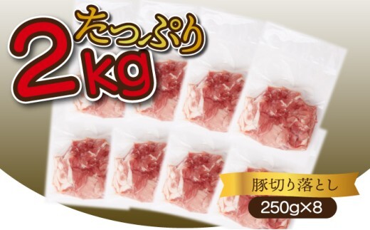 ＜2026年2月発送分＞宮崎県産 豚肉切り落とし 250g×8パック 合計2kg