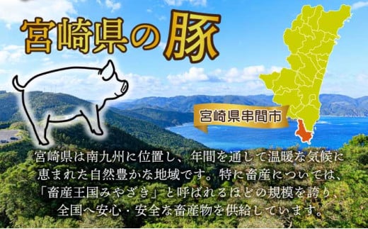 ＜2025年12月発送分＞宮崎県産 豚肉詰め合わせセット 合計4kg