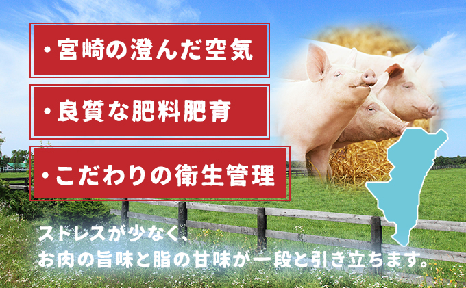 宮崎県産豚モモスライス 400g×5パック 計2kg