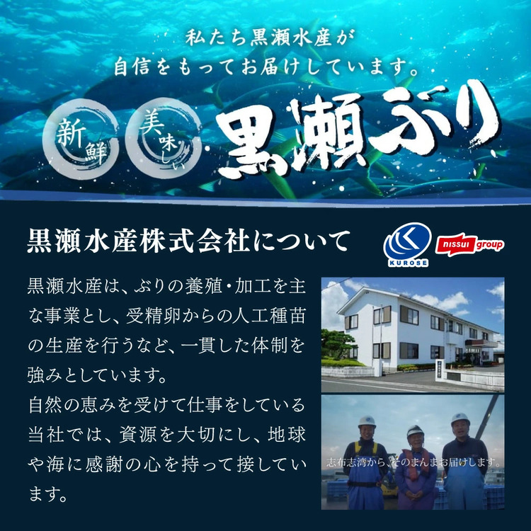 【4月発送】活じめ！黒瀬ぶりカマ（5枚入）（800g～1.2kg前後）