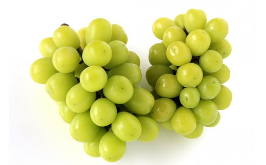 <訳あり>パック入りシャインマスカット 約2kg（2房）【KAZUSAN農園】【KZBSP2】