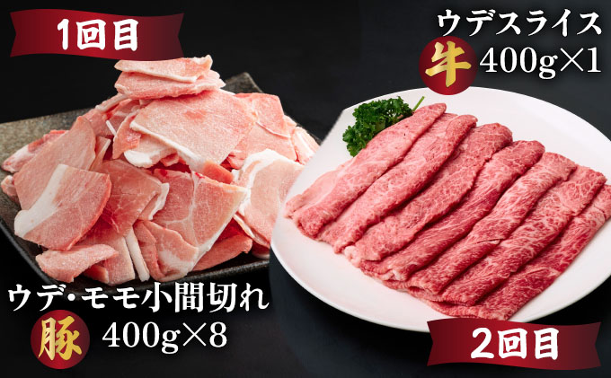 【定期便・全6回】宮崎牛・宮崎県産豚肉 6ヶ月定期便！（合計6.9kg） ロース ウデ バラ モモ 小間切れ とんかつ 焼肉 しゃぶしゃぶ BBQ 宮崎県【MCT6UB-69】