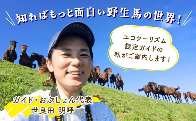 OP-TMG 体験！おもしろ『都井岬野生馬』観察ガイドツアー
