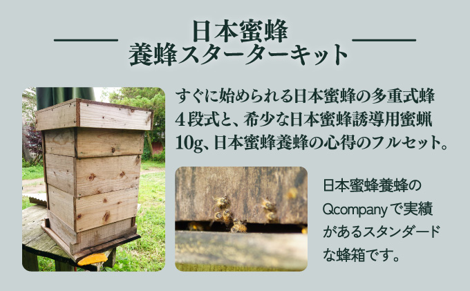P-D1サポートも致します「日本蜜蜂養蜂スターターキット」 【QCompany】