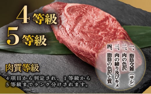 ＜2025年11月発送分＞宮崎牛モモブロック（真空パック）