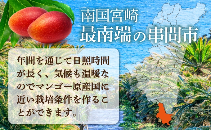 TAZ2L　＜先行予約受付中＞数量限定！宮崎完熟マンゴー (2L×2玉) 化粧箱入り【高橋マンゴー農園】【TAZ2L】