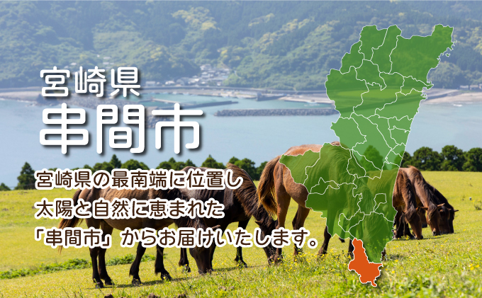 TRT01 ＜小分け・カット済み＞ 鶏肉ムネ切身 3.3kgセット