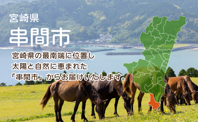 TRT08 若鶏 4kgビッグセット