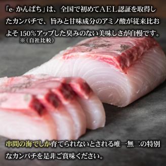 KU501 【期間限定】【先行予約】東京オリンピック供給資格「AEL(養殖エコラベル)」認証取得のカンパチ！活き〆 プレミアムフィッシュ「ｅ－かんぱち」ロイン ２節(カマ、腹骨付き)【マルエイ水産】