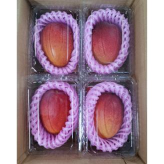 NGM2L4＜数量限定＞宮崎完熟マンゴー(2L×4玉)