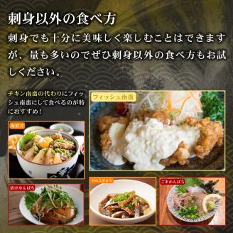 AG-CD2【先行予約】東京オリンピック供給資格「AEL(養殖エコラベル)」認証取得のカンパチ！活き〆プレミアムフィッシュ「e-かんぱち」フィーレ(お刺身約20人前)【マルエイ水産】