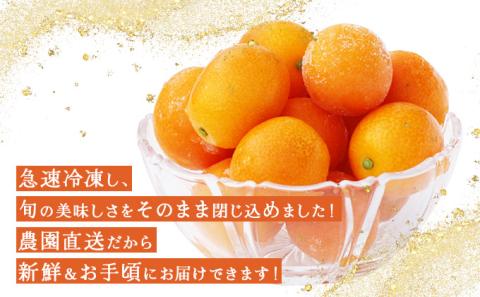 KU447 冷凍完熟きんかん８００g【玉様ファーム】