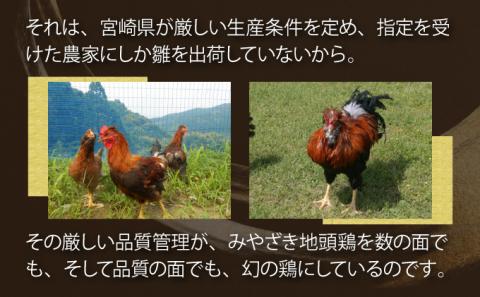 U-A3 《認定農家直送！》のびのびと育てたみやざき地頭鶏の生肉セット（計1kg・モモ肉300g×2P、ムネ肉200g×2P）炭焼、ソテー、鶏すき焼きに♪【権代ファーム】