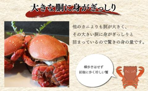 KU018 宮崎県串間産アサヒガニ(計約2kg・8～12匹)【合同会社Houryoumaru】