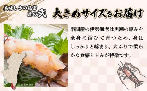 KU069  ＜数量限定＞宮崎県串間産伊勢エビ(計約2kg・3～8匹) 【合同会社Houryoumaru】【KU069】