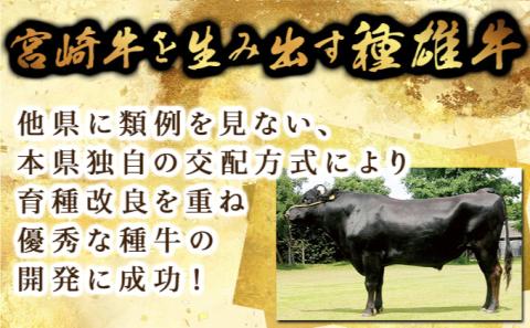 KU423 宮崎牛 ウデスライス 計800g（400g×2）