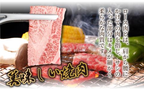 KU428 宮崎牛 肩ロース焼肉 計600g（300g×2）