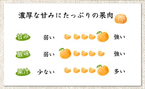 AD-AB3 ＜訳あり＞年内お届け！ふるやさんちのご家庭用温室不知火(約5kg)【ふるやさんちのみかん園】【AD-AB3】
