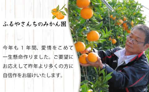 AD-AB1≪期間限定・先行予約≫　数量限定！訳あり 農林水産大臣賞受賞農園！ふるやさんちの温室せとか(約5kg・20～24玉※サイズ混合)【ふるやさんちのみかん園】