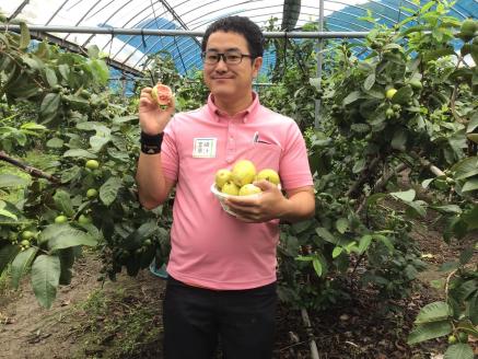 KU101 驚きの果実感！ 宮崎果汁オススメセット(720ml×6本) 【宮崎果汁】