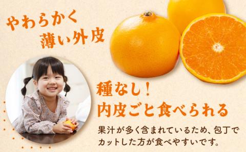 KU335  ≪数量限定・訳あり≫  順子姉さんのひっぱりだこ愛情せとか 5kg