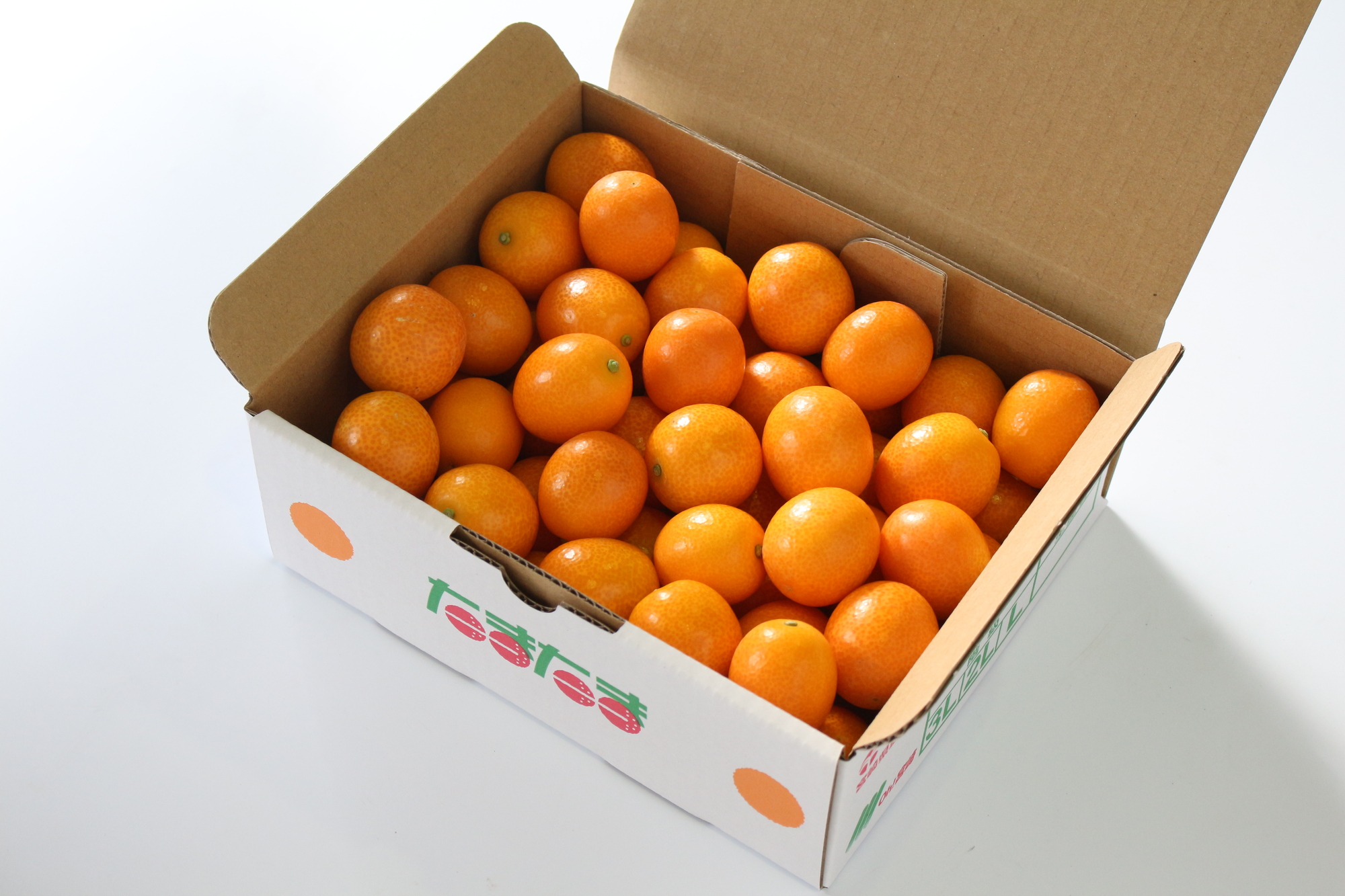 AA-A2 串間市産の完熟きんかん「たまたま」(2L・計1kg)【串間市大束農業協同組合】