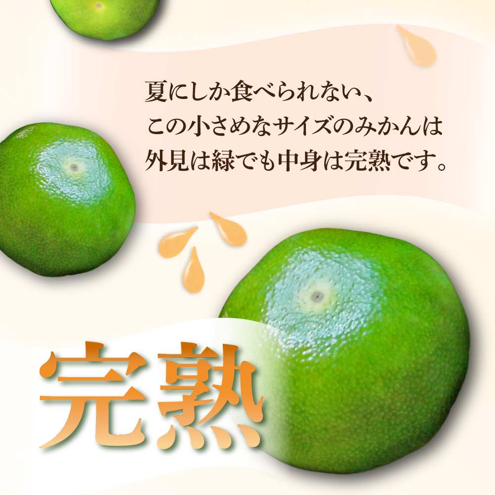 AF-A1 串間市都井「石上農園」自慢のホタル グリーンハウスミカン 5kg（約60個）【石上農園】