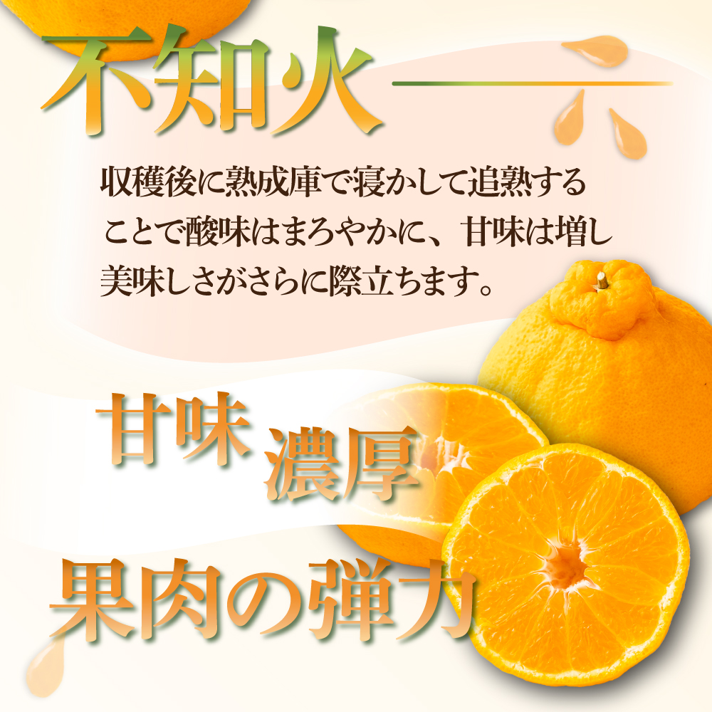 AF-A2 串間市都井「石上農園」の不知火・ポンカンセット(不知火2Lサイズ・3個、ポンカンMサイズ・30玉～35玉)【石上農園】