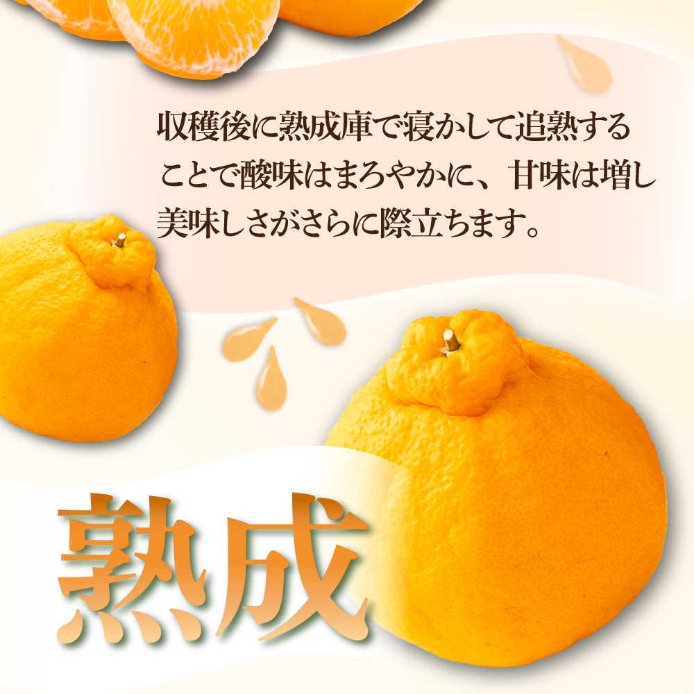 AF-A3 【先行予約】訳あり 串間市都井「石上農園」の不知火4kg(12～15玉)【石上農園】