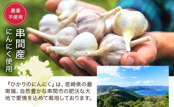 HKNID　ひかりのにんにくチップ360gセット（15g×12袋・60g×3袋）【一般社団法人ひかり】