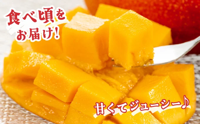 KU019＜令和8年発送分　先行予約！＞＜数量限定＞宮崎完熟マンゴー(2L×2玉) 宮崎県産の完熟マンゴー