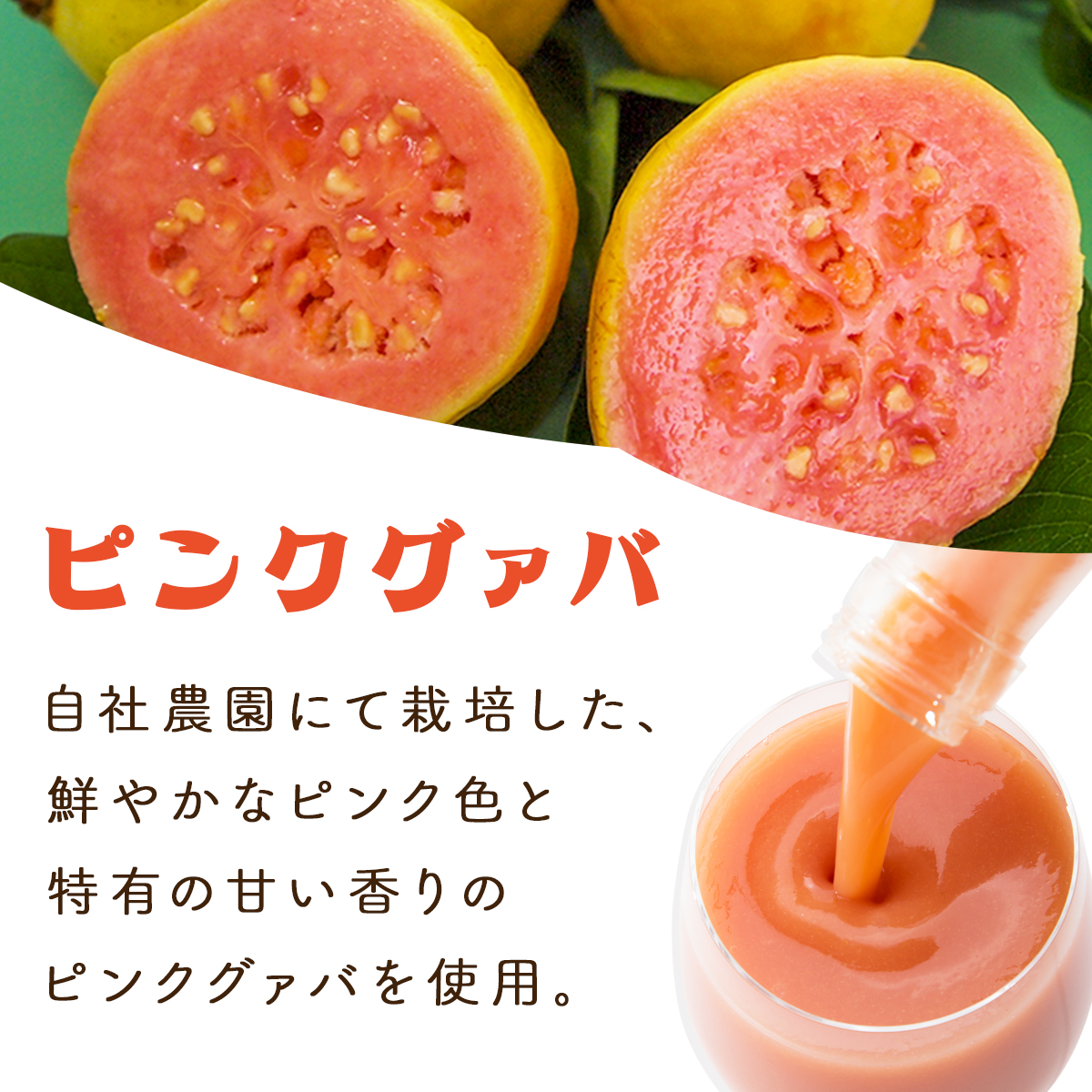 KU108 【定期便・全12回】とろーり果実感！グァバ・マンゴードリンク２本セット(各720ml×2本)×12回 【宮崎果汁】