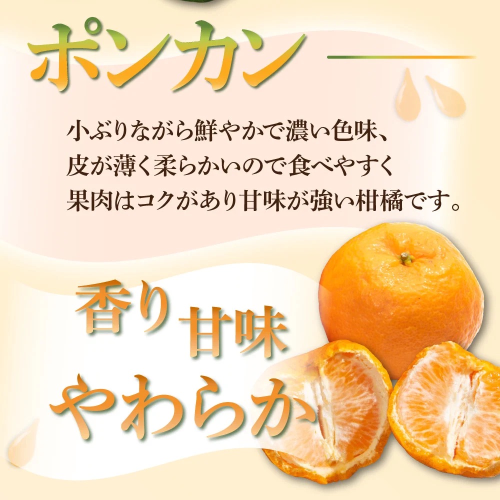 KU167 【先行予約】【定期便・全4回】石上農園から自慢の柑橘フルコース便　【石上農園】